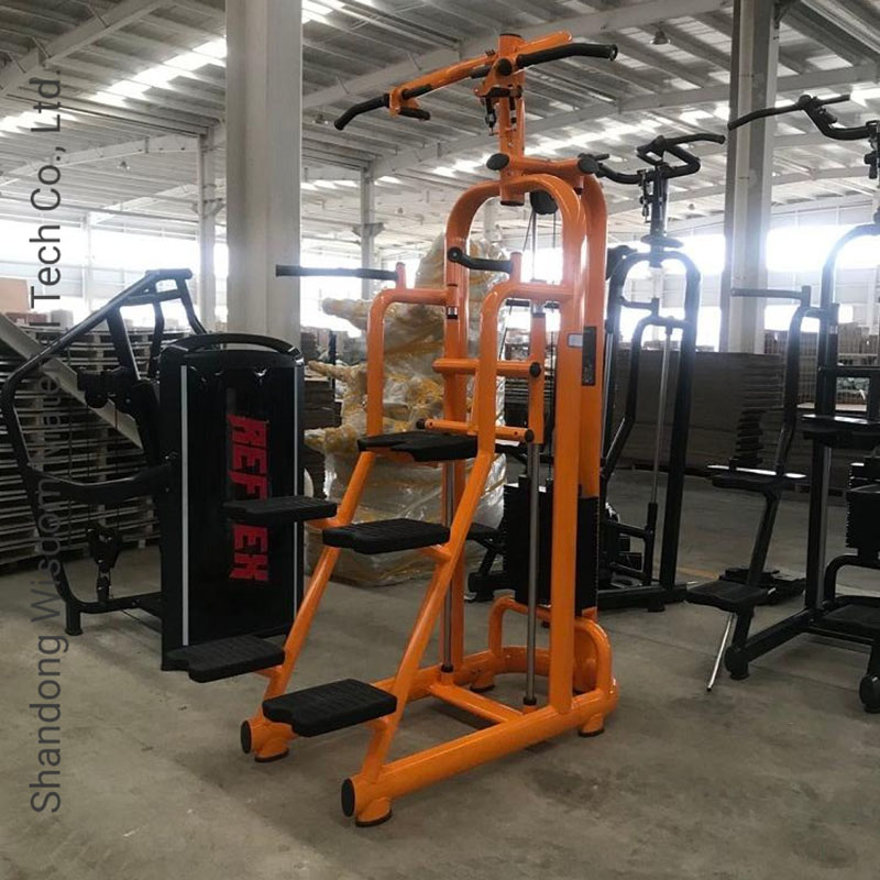 Commercial-Gym-Equipment-Customized-Color-Available-Gym-Use-Equipment-Assited-Chin-up-DIP (1)