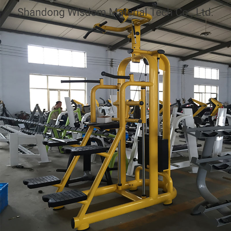 Commercial-Gym-Equipment-Customized-Color-Available-Gym-Use-Equipment-Assited-Chin-up-DIP (3)