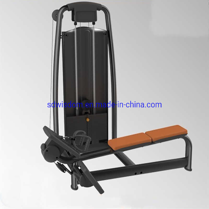 Bt2022-Gym-Fitness-Equipment-Home-Use-Strength-Machine-Pully-Low-Row-Fitness-Equipment-for-Training-and-Bodybuilding