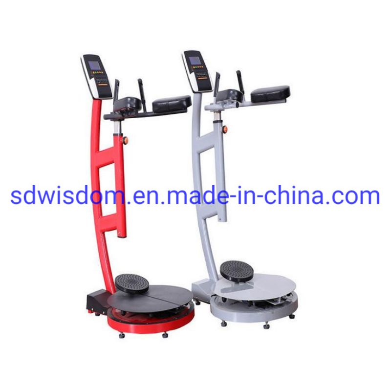 Commercial-Fitness-Equipment-Home-Gym-Machine-Aerobic-Waist-Twist-Stepper-Waist-Twisting-Disc-Figure-Twister (2)