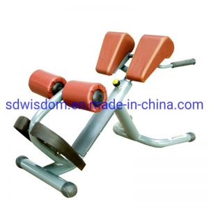 Commercial-Gym-Fitness-Equipment-Gym-Machine-Gym-Bench-Adjustable-Roman-Chair