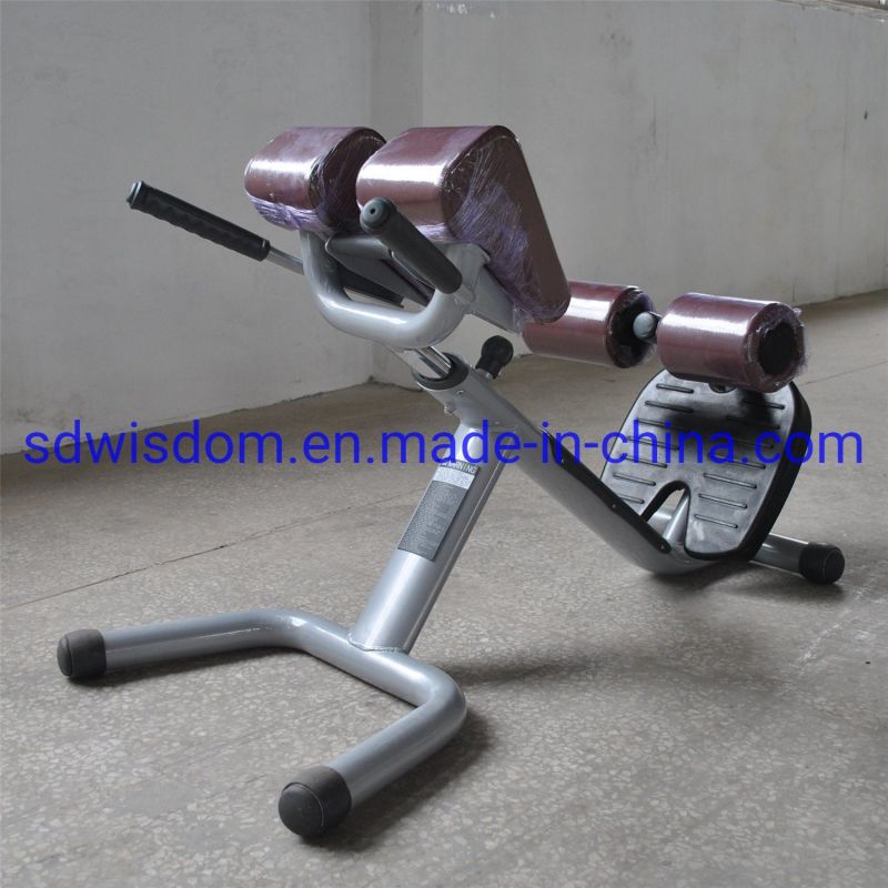 Commercial-Gym-Fitness-Equipment-Gym-Machine-Gym-Bench-Adjustable-Roman-Chair (4)
