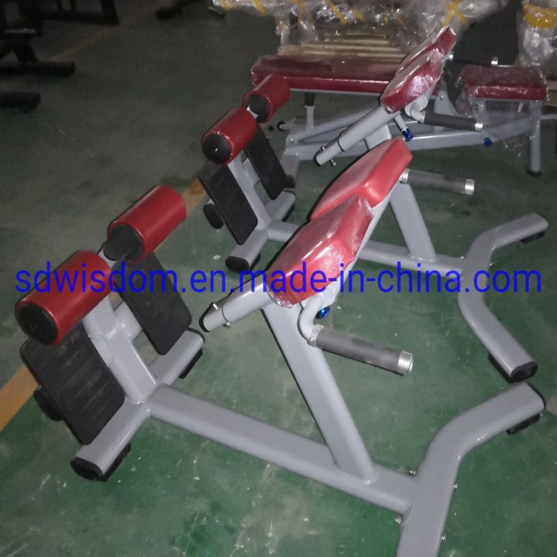 Commercial-Gym-Fitness-Equipment-Gym-Machine-Gym-Bench-Adjustable-Roman-Chair (5)