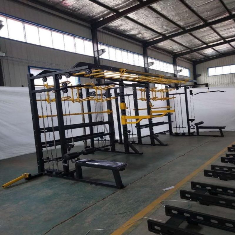 Customized-Commercial-Gym-Equipment-Multi-Functional-Cross-Fit-Rig (3)