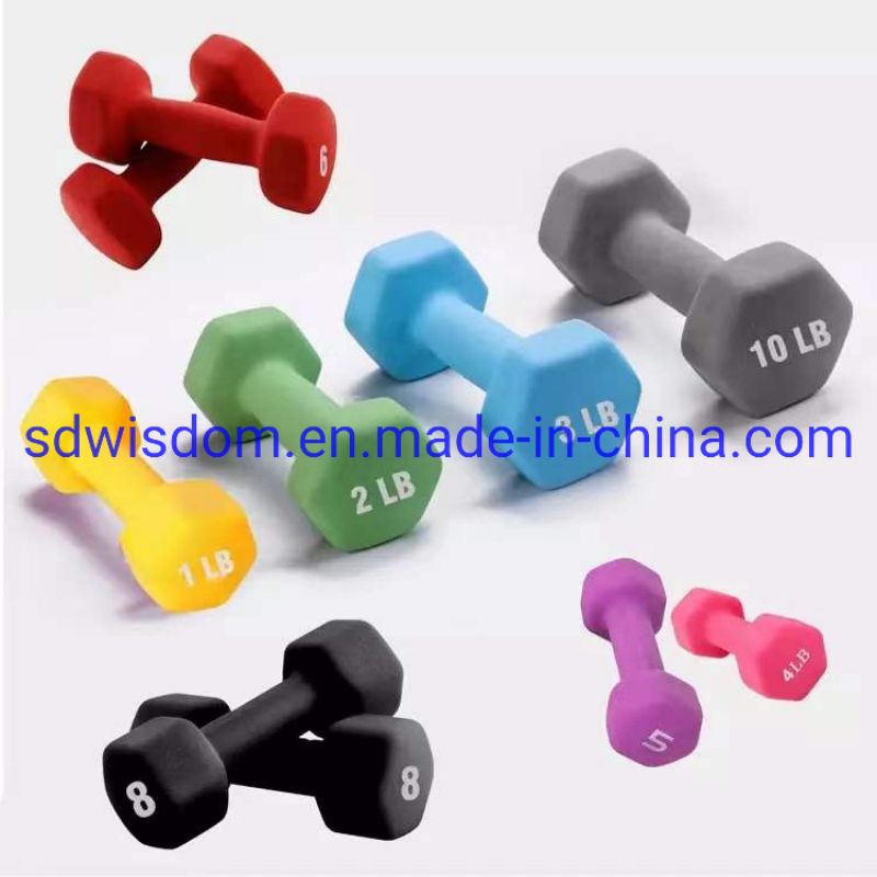Hot-Popular-Gym-Equipment-Neoprene-Dumbbell-Colourful-Vinyl-Dumbbell-for-Woman-Workout