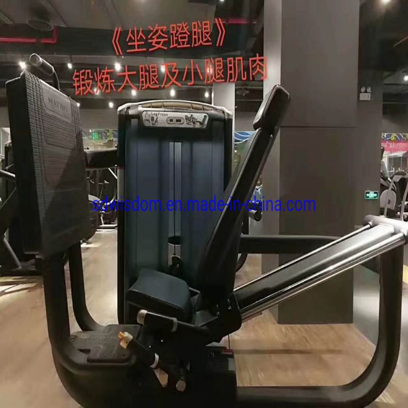 Ms1010-Factory-Matrix-Strength-Commercial-Professional-Body-Building-Leg-Press-Gym-Machine-Fitness-Equipment (1)