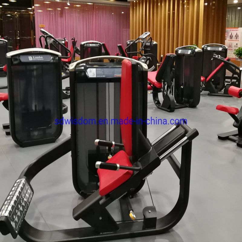 Ms1010-Factory-Matrix-Strength-Commercial-Professional-Body-Building-Leg-Press-Gym-Machine-Fitness-Equipment (4)