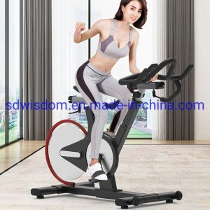 New-Design-Gym-Fitness-Equipment-Noiseless-Sports-Gym-Exercise-Commercial-Spinning-Bike