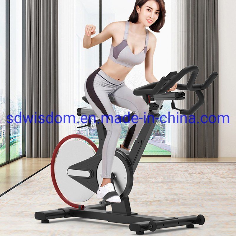 New-Design-Gym-Fitness-Equipment-Noiseless-Sports-Gym-Exercise-Commercial-Spinning-Bike (1)