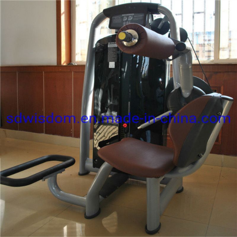 Bt2006-Fitness-Bodybuilding-160-Commercial-Gym-Equipment-Strength-Machine-Home-Exercise-Equipment-Seated-Back-Extension (2)