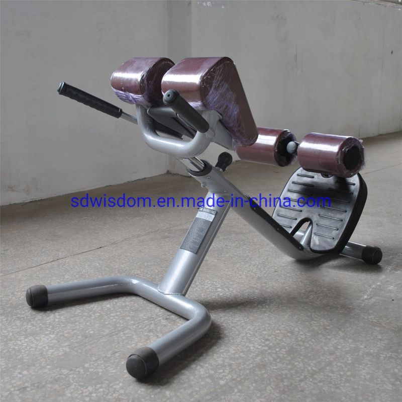 Bt2026-Commercial-Gym-Fitness-Equipment-Free-Weight-Roman-Chair-for-Gym-Club (4)