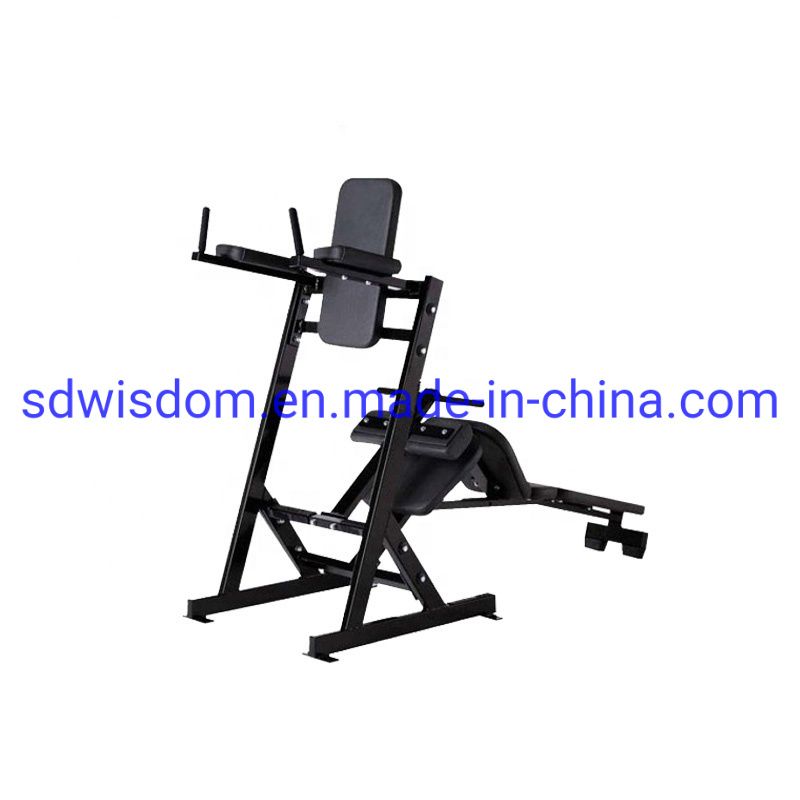 Hammer-Strength-Machine-Home-Gym-Fitness-Equipment-Abdominal-Work-Station-for-Commercial (2)