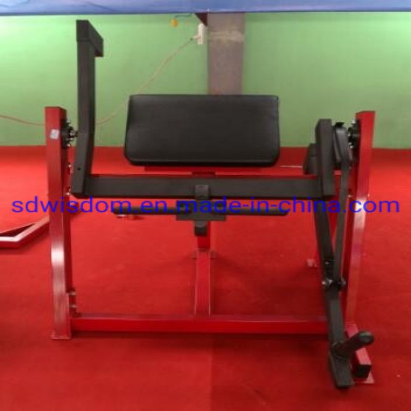 Hot-Selling-Commercial-Gym-Fitness-Equipment-Body-Building-Seated-Biceps (3)