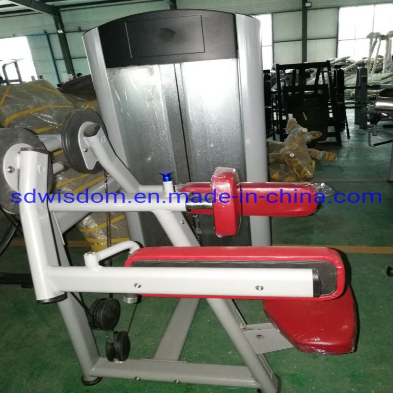 Ll5013-Commercial-Fitness-Equipment-Gym-Exercise-Equipment-Abdominal-Machine (3)