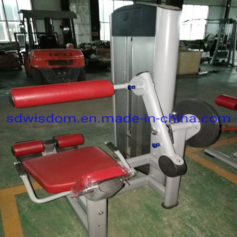 Ll5013-Commercial-Fitness-Equipment-Gym-Exercise-Equipment-Abdominal-Machine (4)