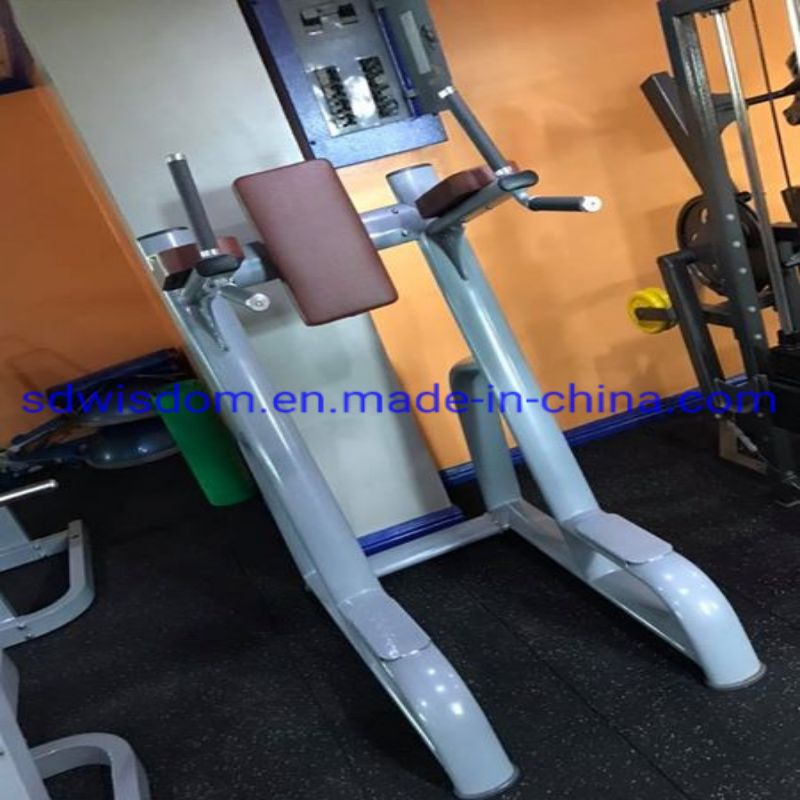 Sports-Commercial-Gym-Fitness-Equipment-Chin-DIP-up-Vertical-Knee-Raise-for-Gym-Center (2)
