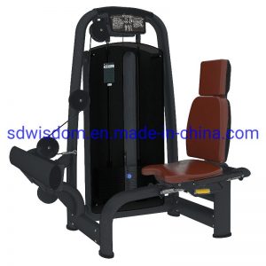 Body-Building-Commercial-Gym-Fitness-Equipment-Home-Strength-Machine-160-160-Seated-Leg-Extension-for-Indoor-Exercise