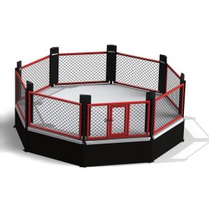 Gym-Fitness-Accessories-Popular-Octagon-MMA-Cage-for-Fighting-Competition