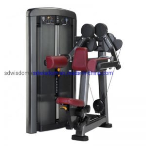 Body-Building-Commercial-Gym-Equipment-Strength-Fitness-Machine-Lateral-Raise