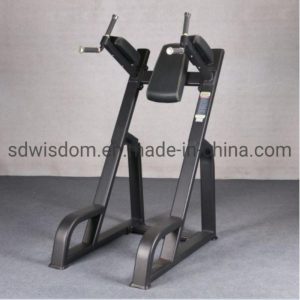 Precor-Gym-Equipment-Fitness-Machine-Vertical-Kness-up-DIP-Leg-Exerciser