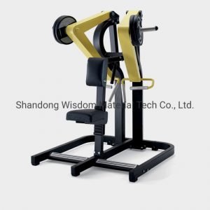 Professional-Wholesale-Gym-Equipment-Fitness-Equipment-Low-Row-The-Hornet-Gym-Machine