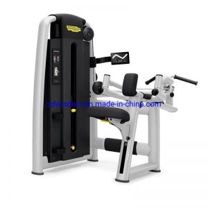 Commercial-Strength-Machine-Body-Building-Upper-Back-Fitness-Gym-Equipment-Machine