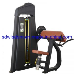 China-Manufacture-Commercial-Gym-Equipment-Fitness-Machine-Camber-Curl