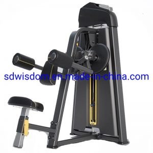 Fitness-Equipment-Manufacture-Shoulder-Raise-Lateral-Raise-Commercial-Strength-Gym-Equipment