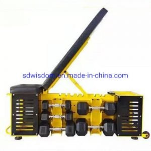 New-Style-High-Quality-Multi-Function-Dumbbell-Storage-Adjustable-Gym-Bench-for-Body-Exercising-Gym-Machine